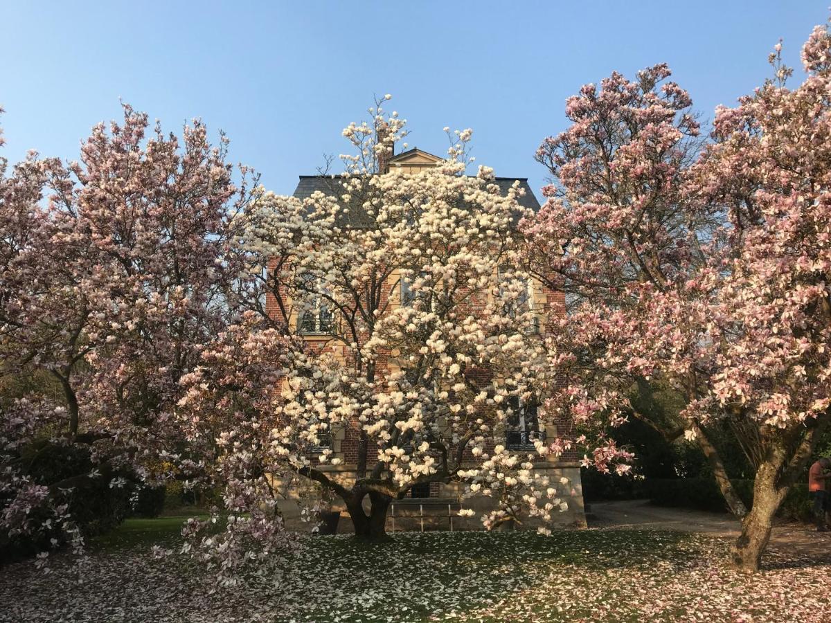 Bed and Breakfast L'Atelier Des Magnolias Aumont-en-Halatte Exterior foto